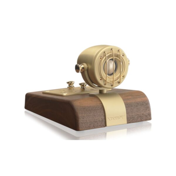 AVStore-Tannoy-SuperTweeter-Go-Front-Right-Angled-View jpg
