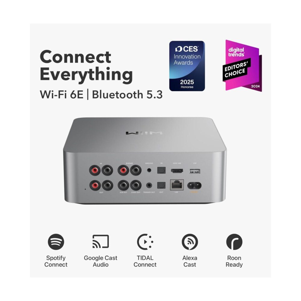 AVStore-Wiim-Ultra-a-Networked-Streamer-Lifestyle-Silver jpg