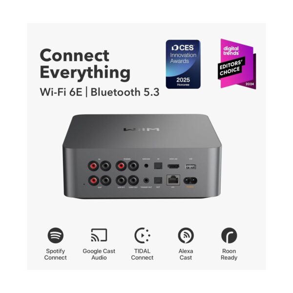 AVStore-Wiim-Ultra-a-Networked-Streamer-Lifestyle-Space-Grey jpg