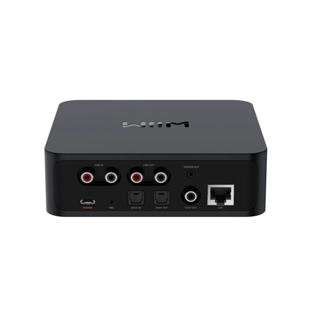 AVStore-WiiM-Pro-Music-Streamer-Back-View jpg