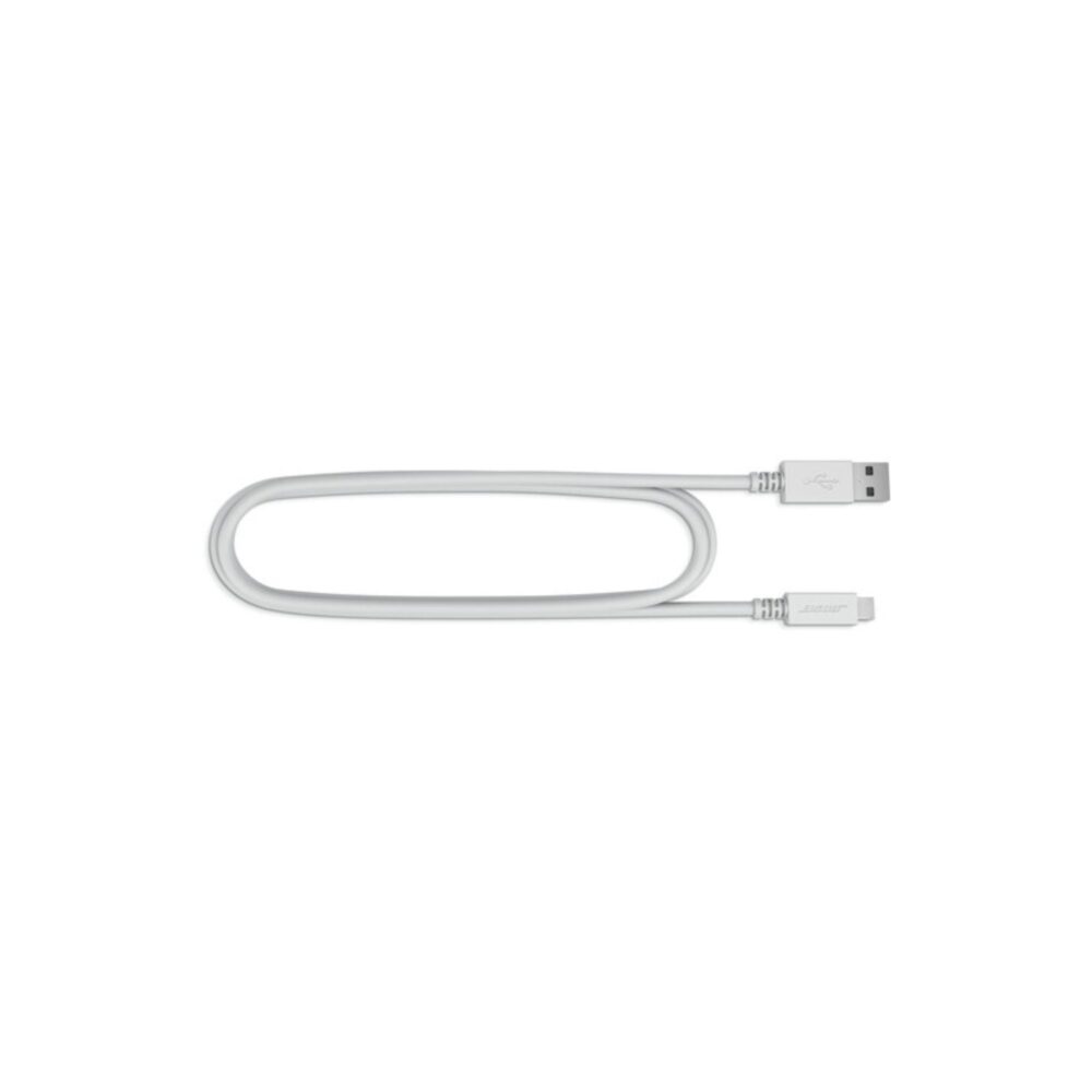 AVStore-Bose-SoundLink-Revolve -II-Wire-Luxe-Silver jpg