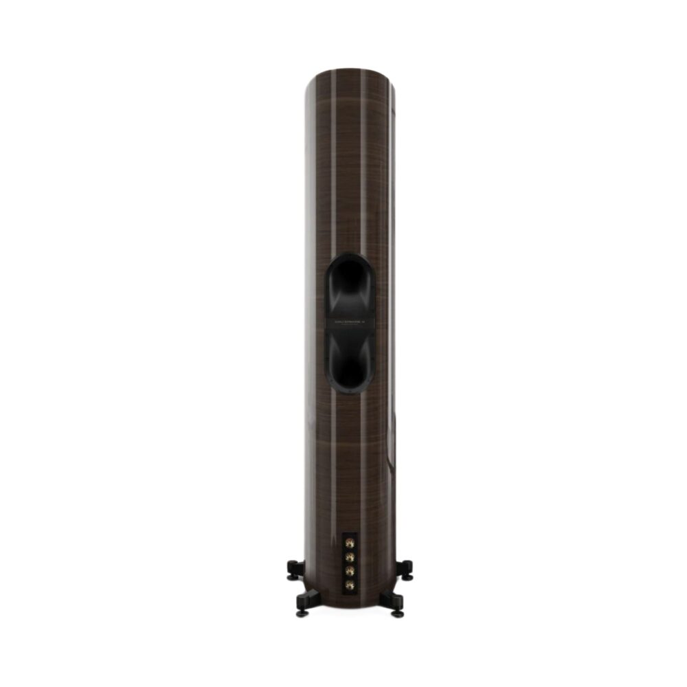 AVStore-Dali-EPIKORE--Back-View-HG-Walnut jpg