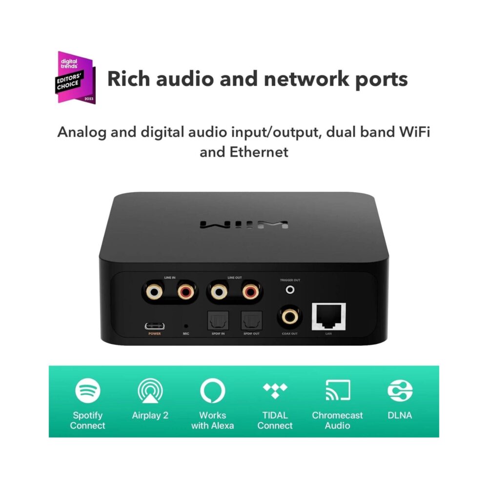 AVStore-WiiM-Pro-Music-Streamer-Back-network-Ports jpg
